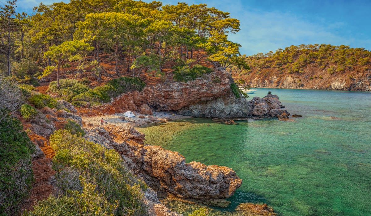 Pine forest meeting the sea in Marmaris National Park